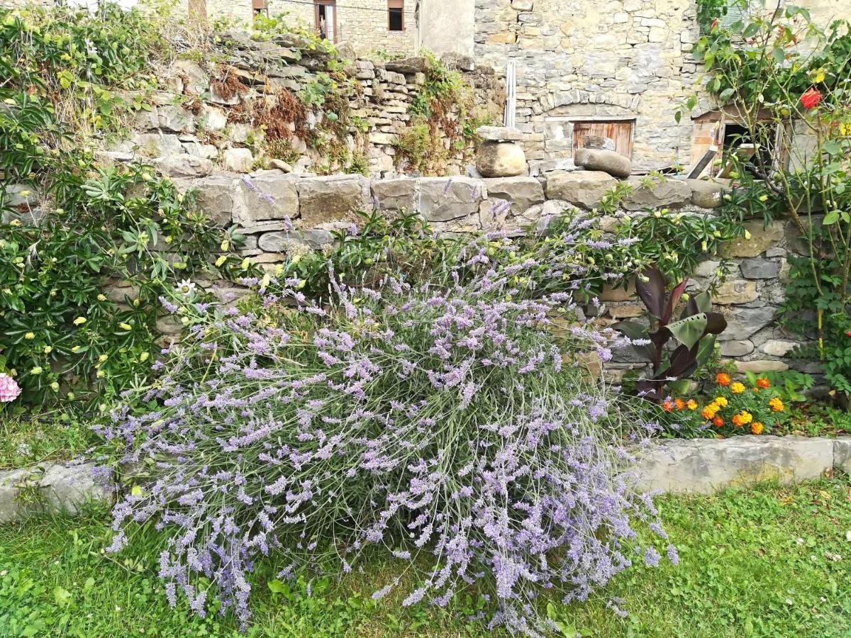Casa La Abadia De Antin Apartment Liguerre de Ara Luaran gambar
